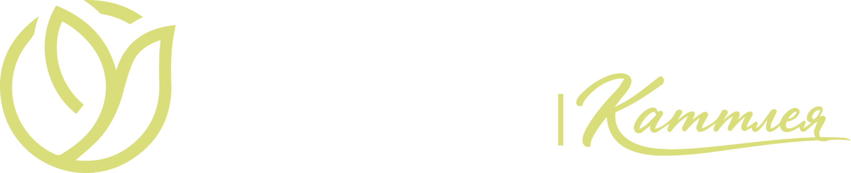 Каталог