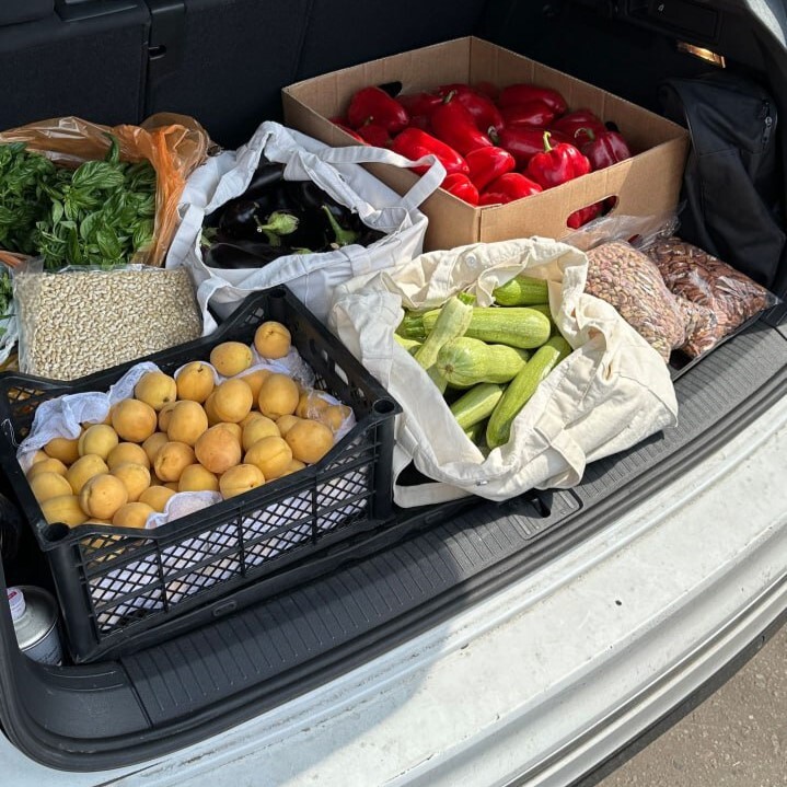 Закупка Маши Шелушенко