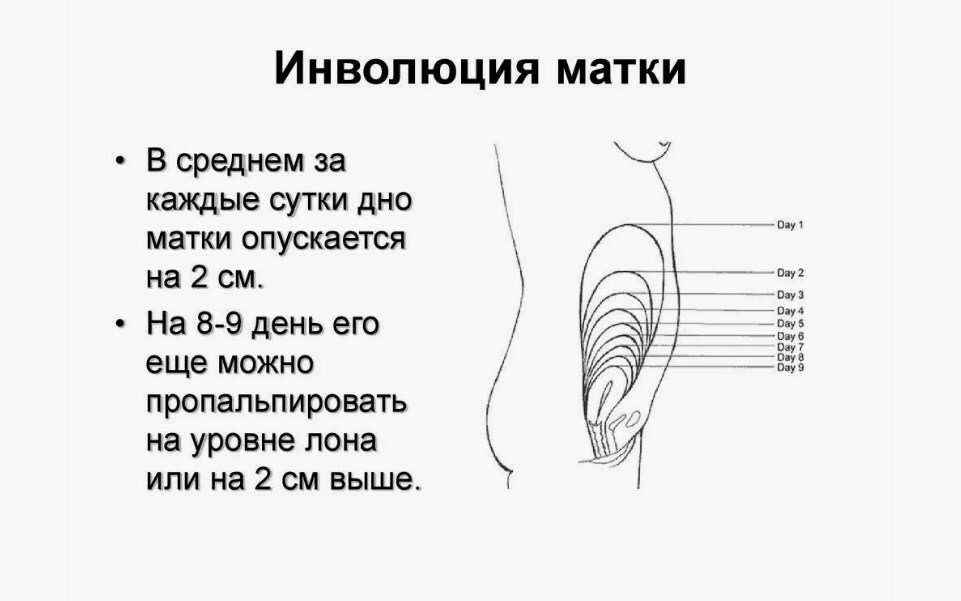 Нитевое сужение влагалища - фото результатов и цены Нитевое сужение влагалища - фото результатов и цены