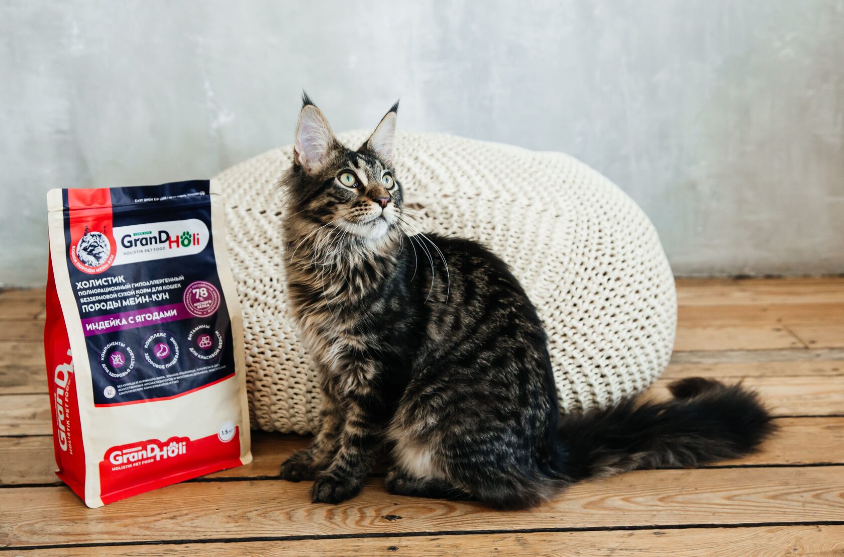 корм для мейн-куна