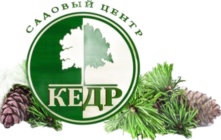  Садовый центр КЕДР Продажа декоративных растений 8-910-737-33-80 