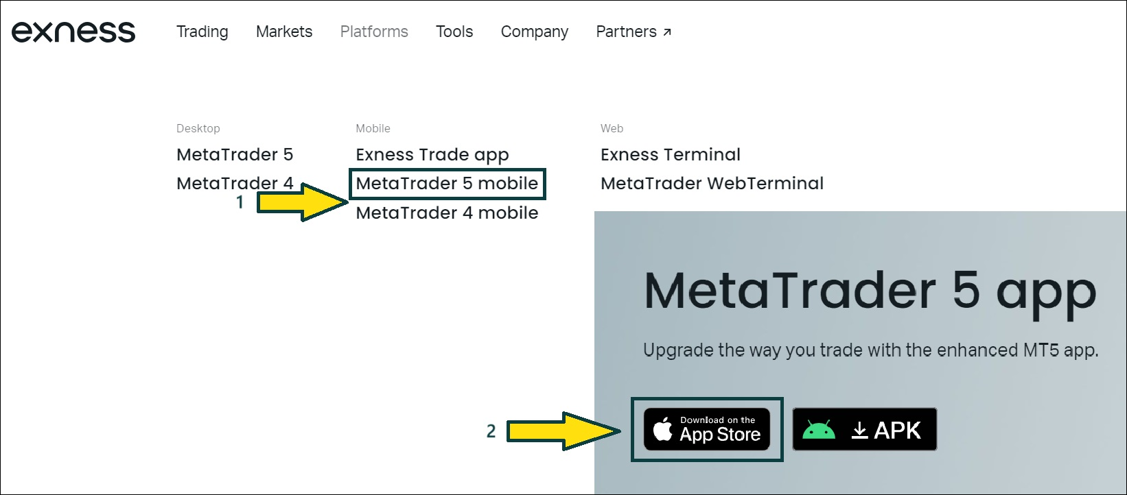 The Complete Process of Minimum Deposits For Exness Account Types