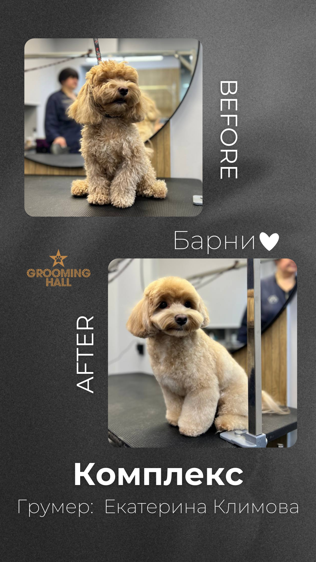 Grooming Hall | Груминг-салон для ваших питомцев на Полежаевской