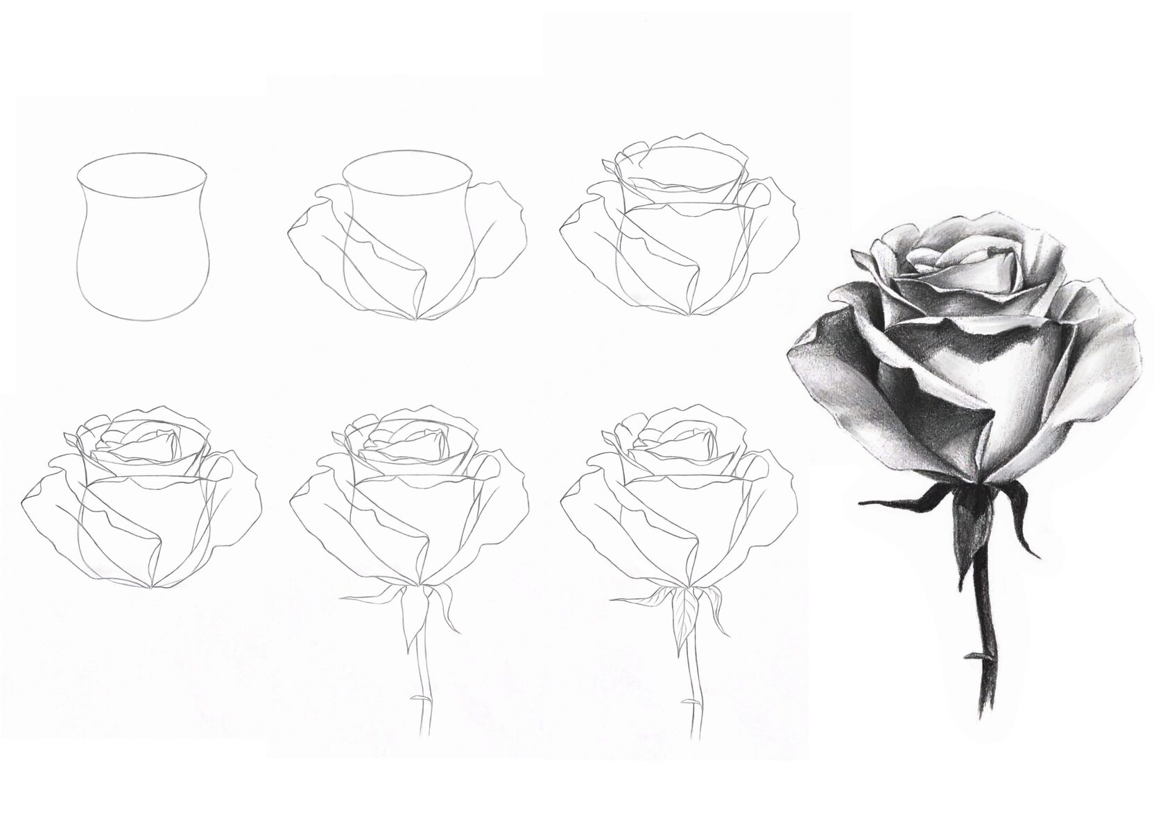 Нарисованные карандашом красивые поэтапно. Как нарисовать белую розу. Нарисовать+розу+карандашом+легко+и+красиво древней Руси.