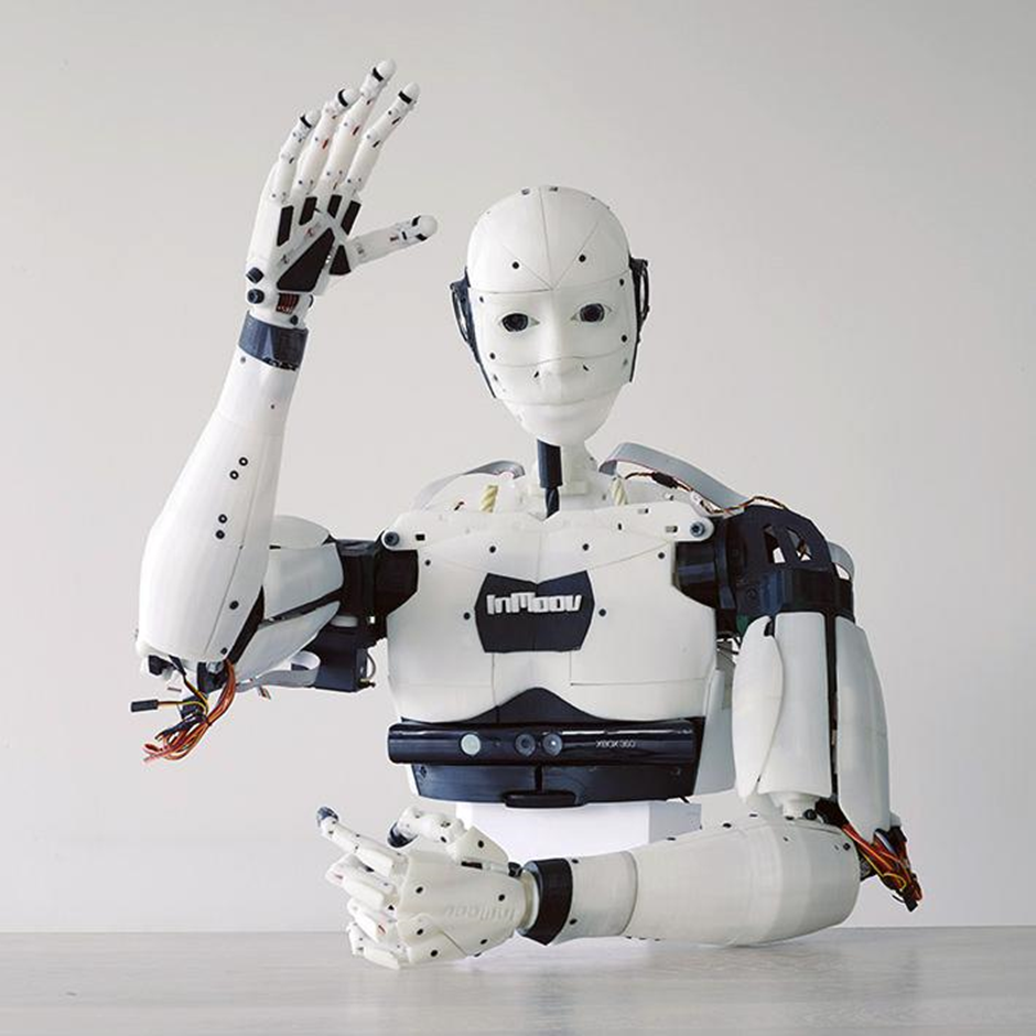 Какой из автономных роботов созданный французским изобретателем. Человекоподобный робот INMOOV. Робот INMOOV В 3d принтере. Первый робот. Детали робота.