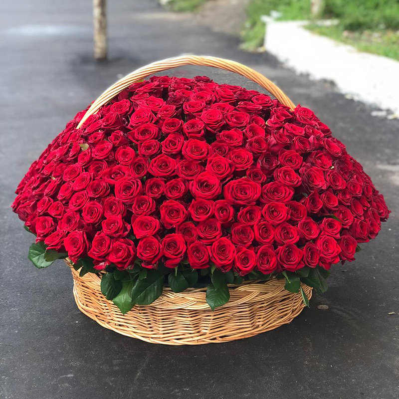 Букет из 1001 розы фото