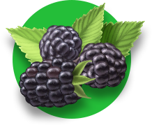 вкусное и правильное питание