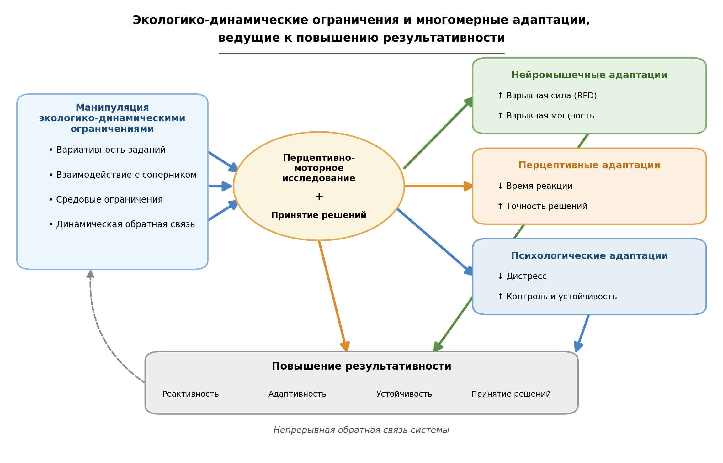 Схема экологико-динамического подхода в джиу-джитсу