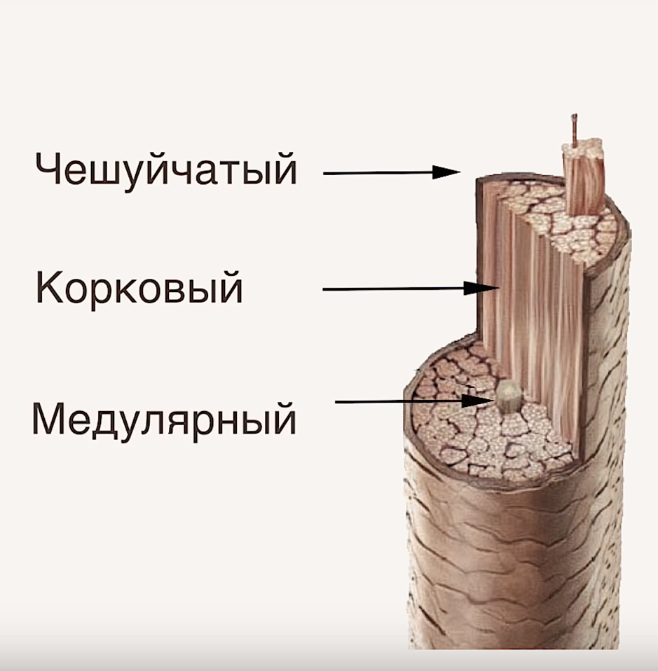 Фон осветления волос 7