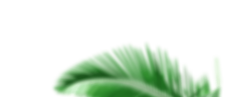 Тишь Да Гладь