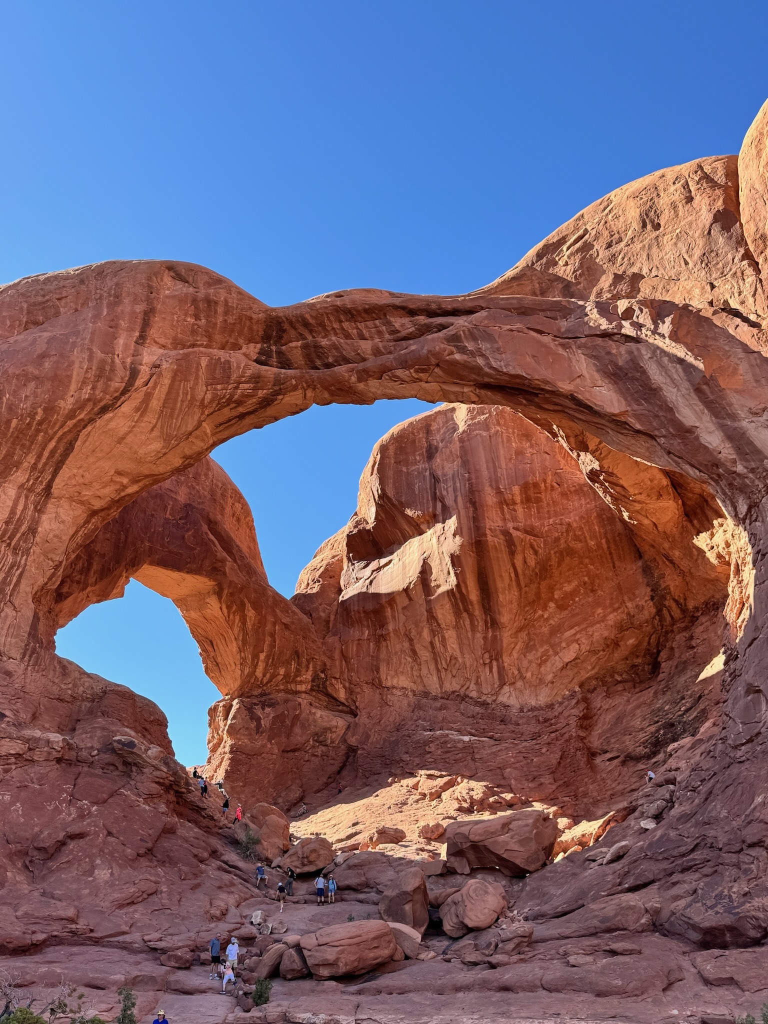 Северная Америка