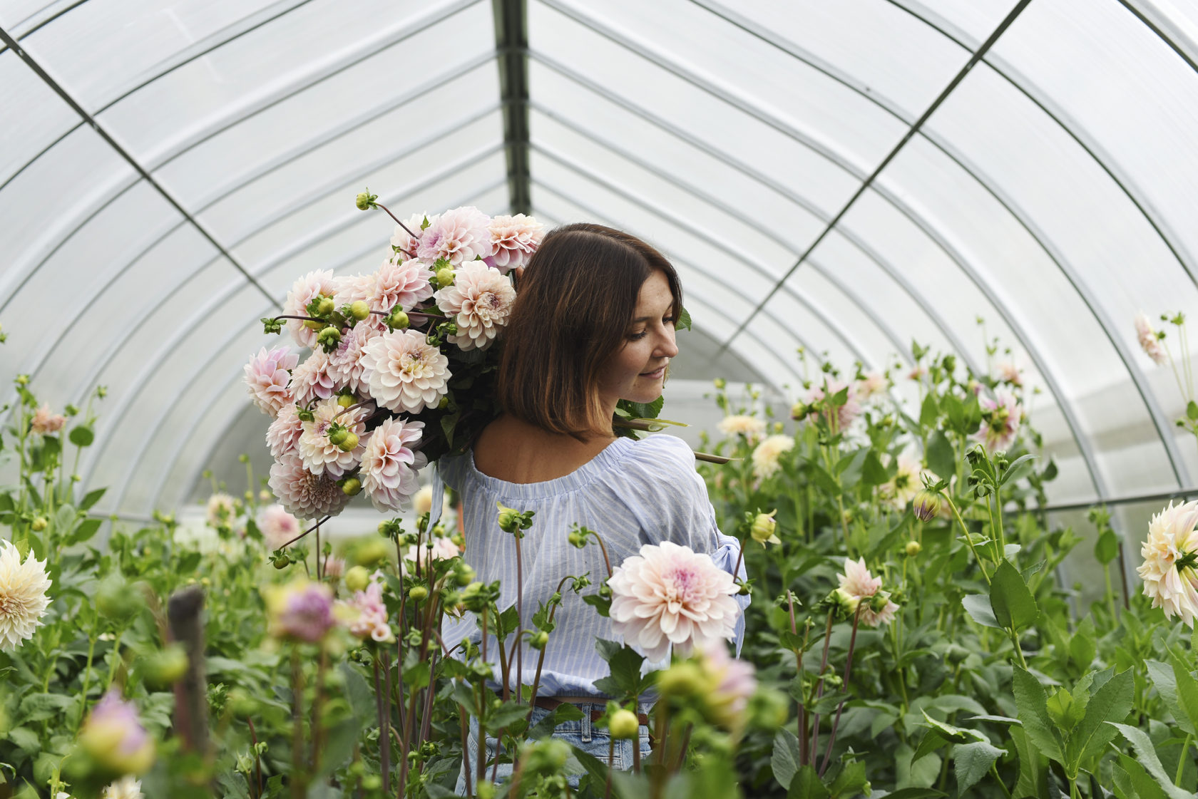 Цветочная ферма Local Flowers