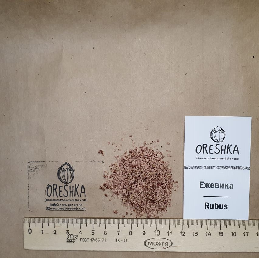 Oreshka Seeds Rubus fruticosus blackberry fresh seeds packet