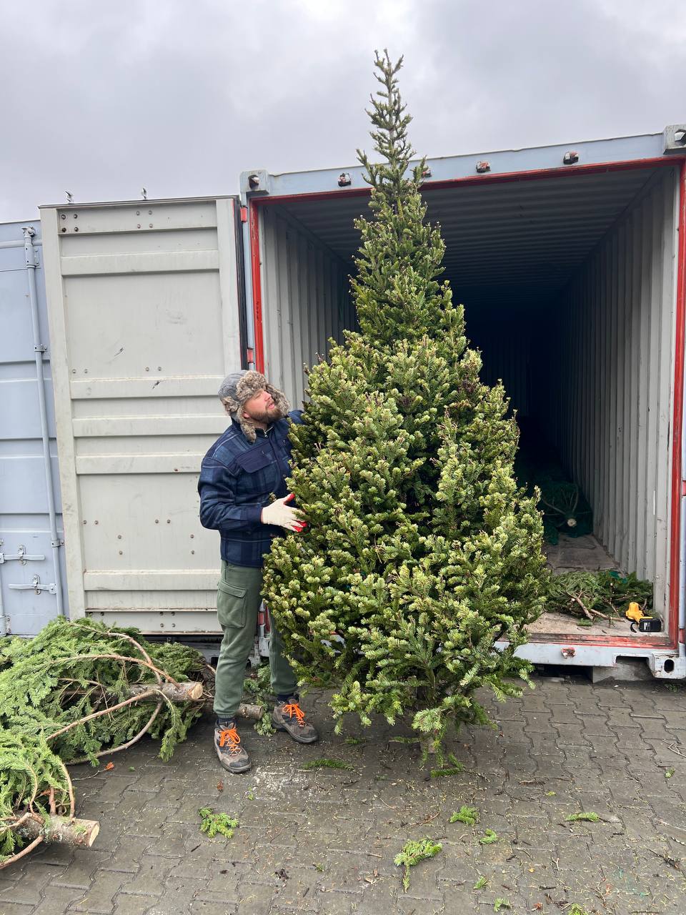 пихта на елочном базаре в Барнауле