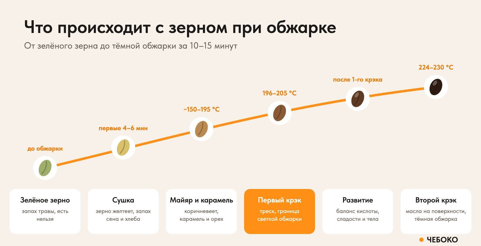 Стадии обжарки кофе: сушка, реакция Майяра, первый крэк, развитие, второй крэк