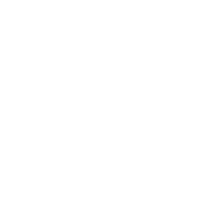 Action