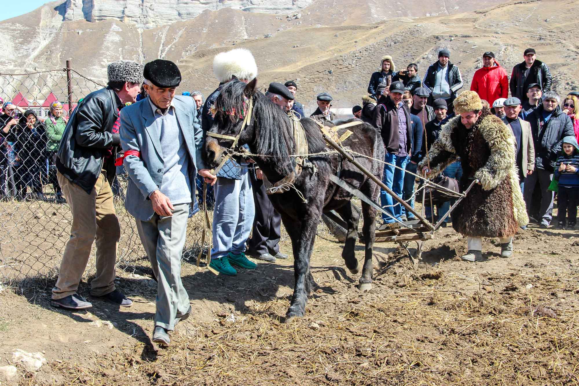 Праздник первой борозды в дагестане. Первый день борозды. Праздник первой борозды в дагестане. Борозда в дагестане. Праздник первой борозды в дагестане.