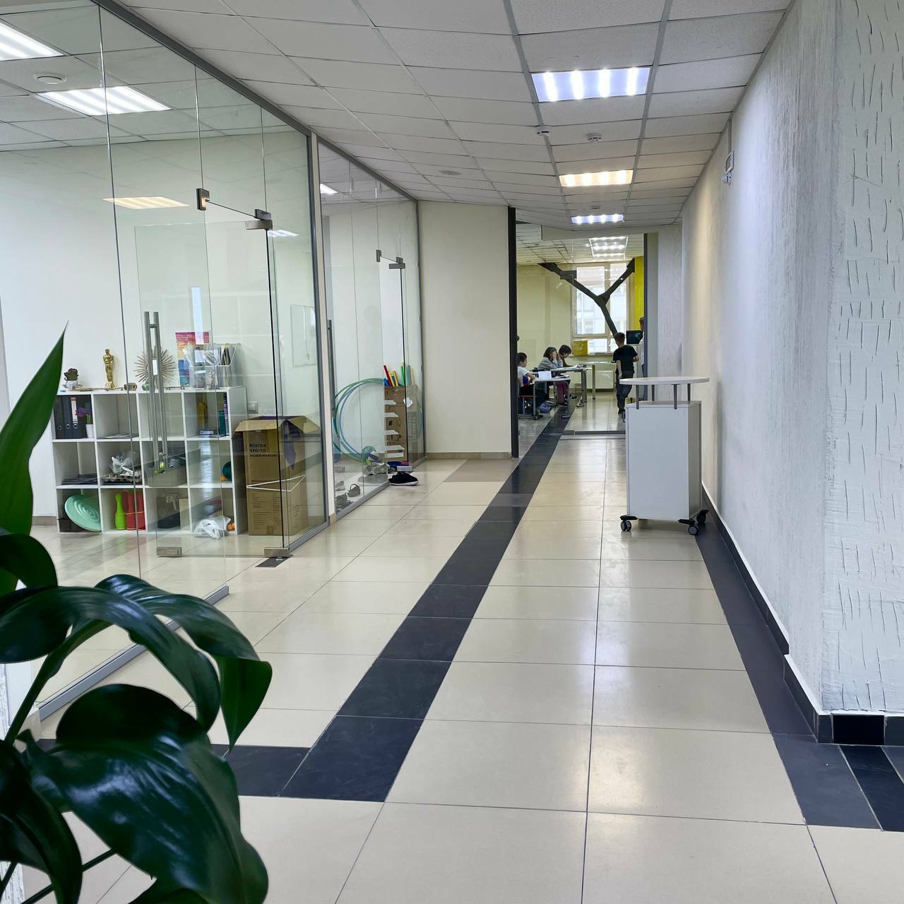 частная школа умка красноярск. частная школа взлетай красноярск. частная школа красноярск. частная школа красноярск. красноярская школа далматава.