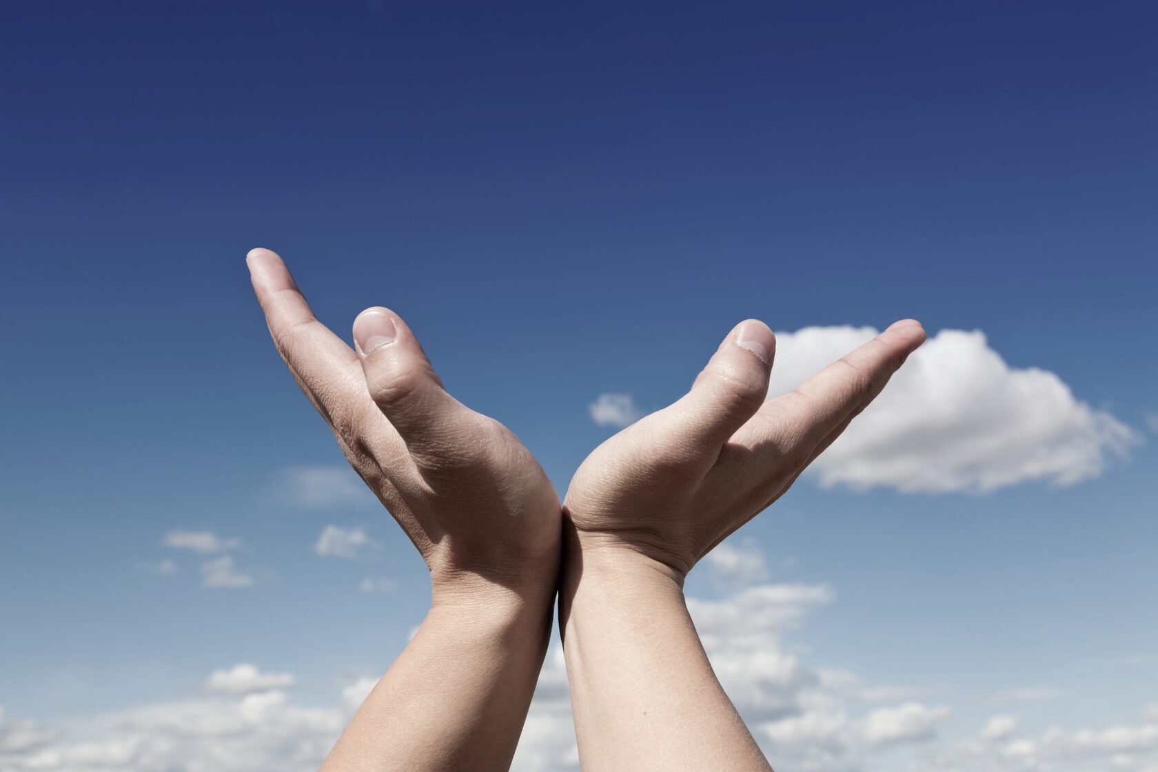 экскурсии | индивидуальные с гидом по орденским замкам