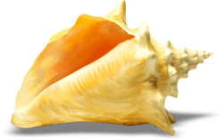 Отдых снять номер в Стрелковом