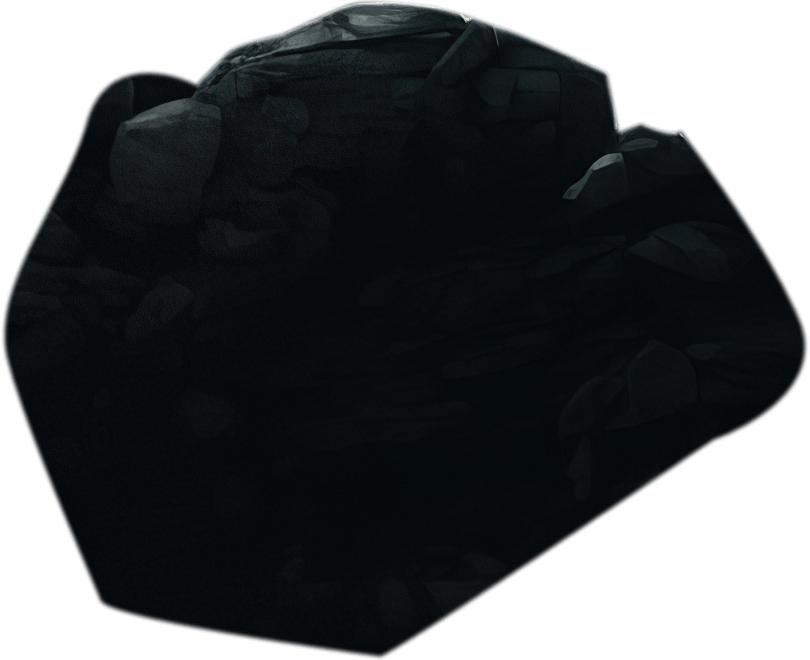 Космическое сафари на планету Эрикте. Веб-дизайнер Диана Шакерова