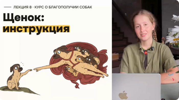 Щенок: инструкция