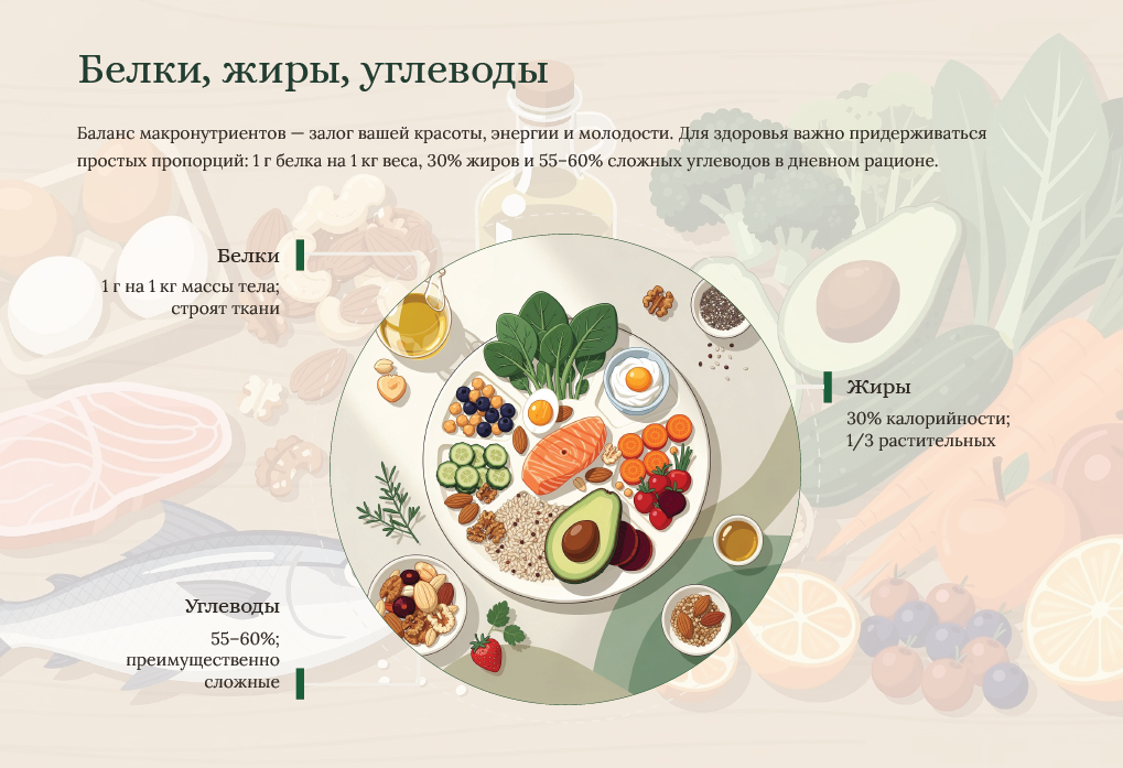 Инфографика курса — белки, жиры, углеводы