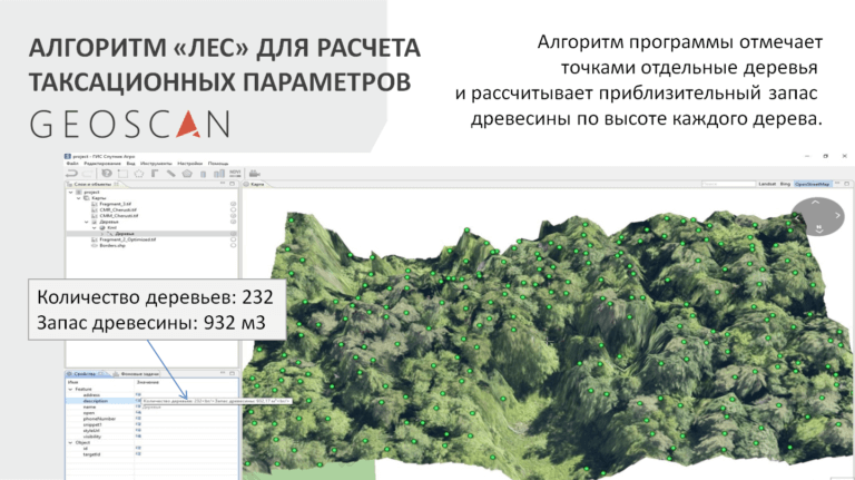 Карта лесов самарской области по видам деревьев