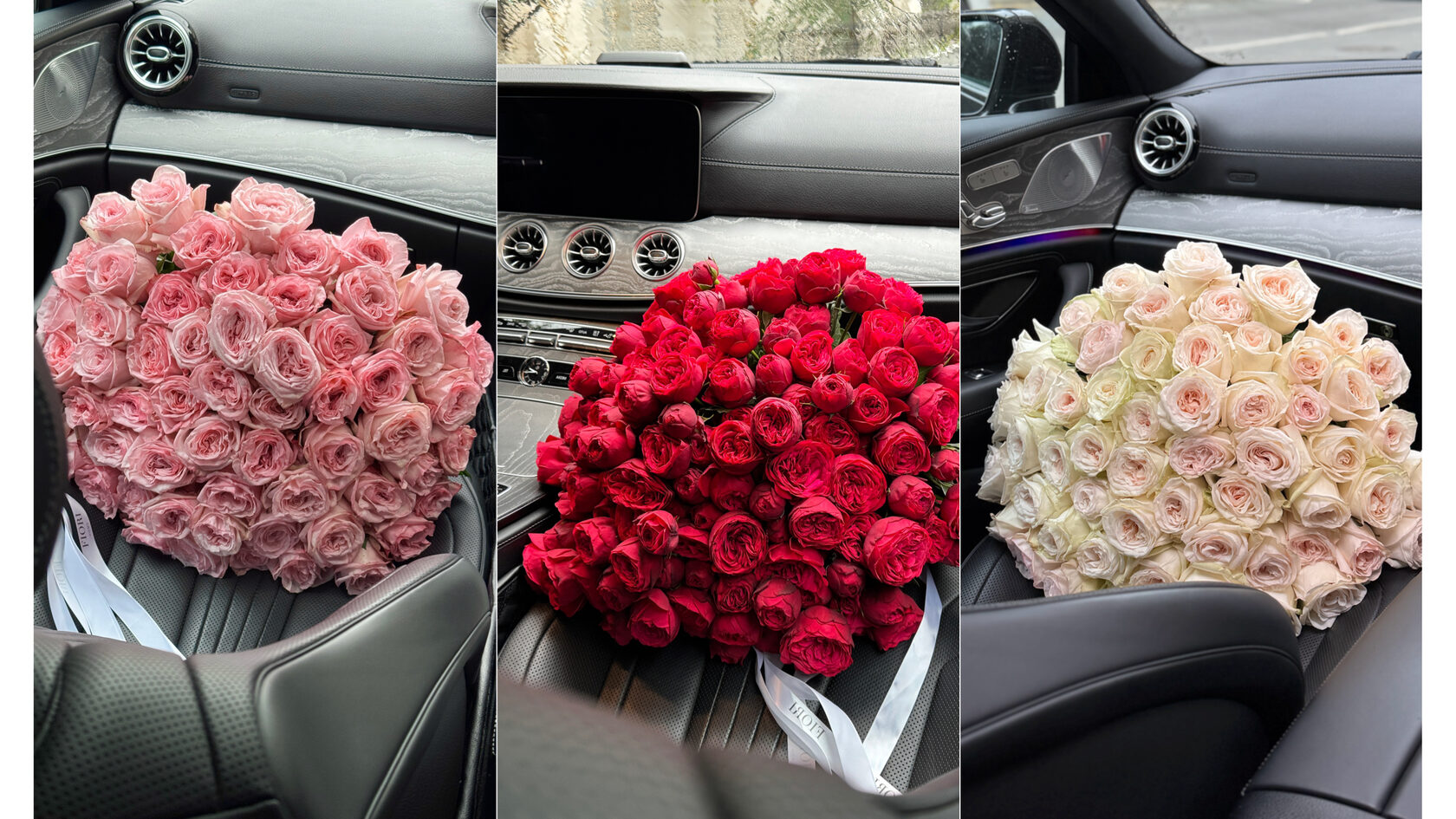 пионовидная роза дэвид