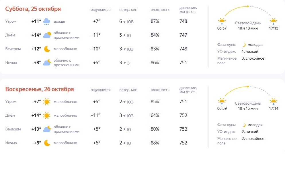 Погода в Луганске — осенний парк с золотыми листьями и мягким светом