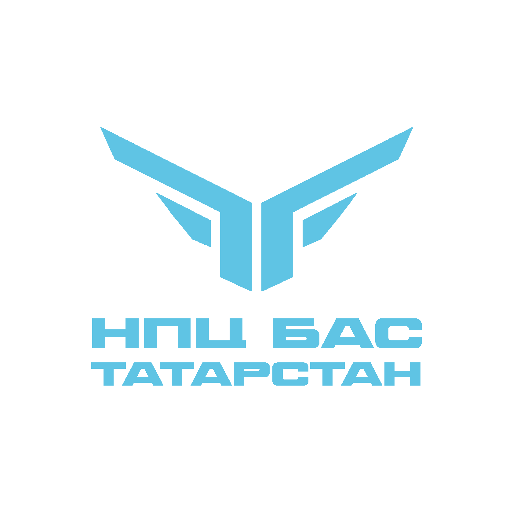  НАУЧНО-ПРОИЗВОДСТВЕННЫЙ ЦЕНТР БЕСПИЛОТНЫХ АВИАЦИОННЫХ СИСТЕМ РЕСПУБЛИКИ ТАТАРСТАН 