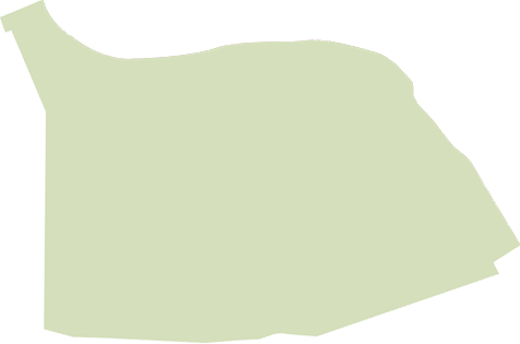 Новая жизнь Започаинья