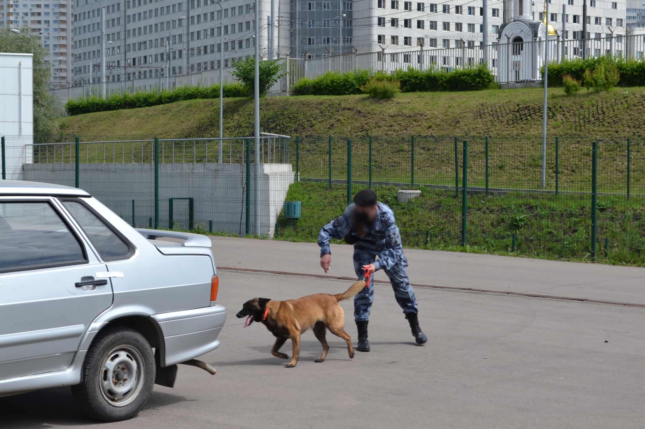 Поиск взрывчатых веществ