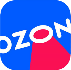 website icon