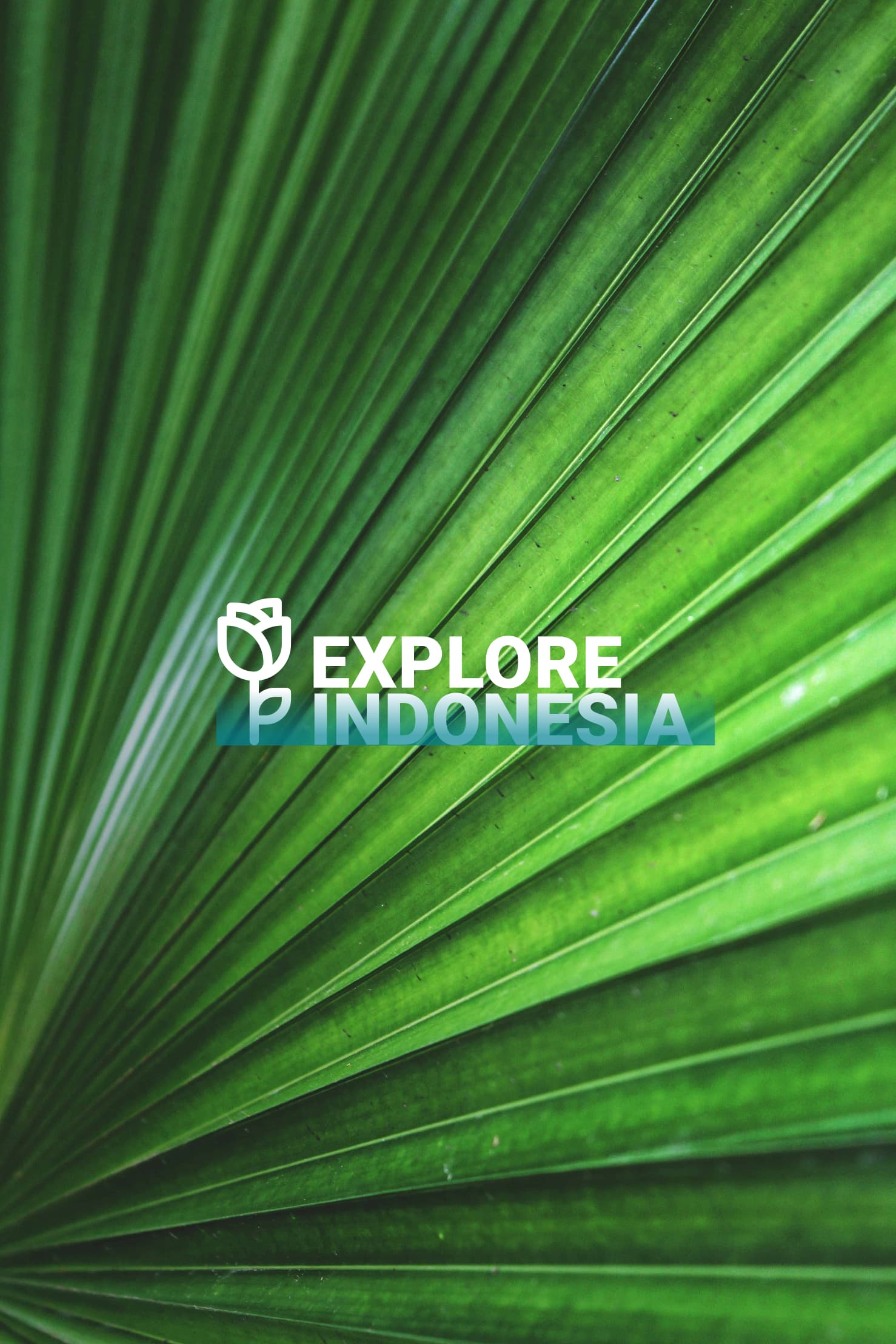 Надпись на зеленом листе «Исследуй индонезию»
