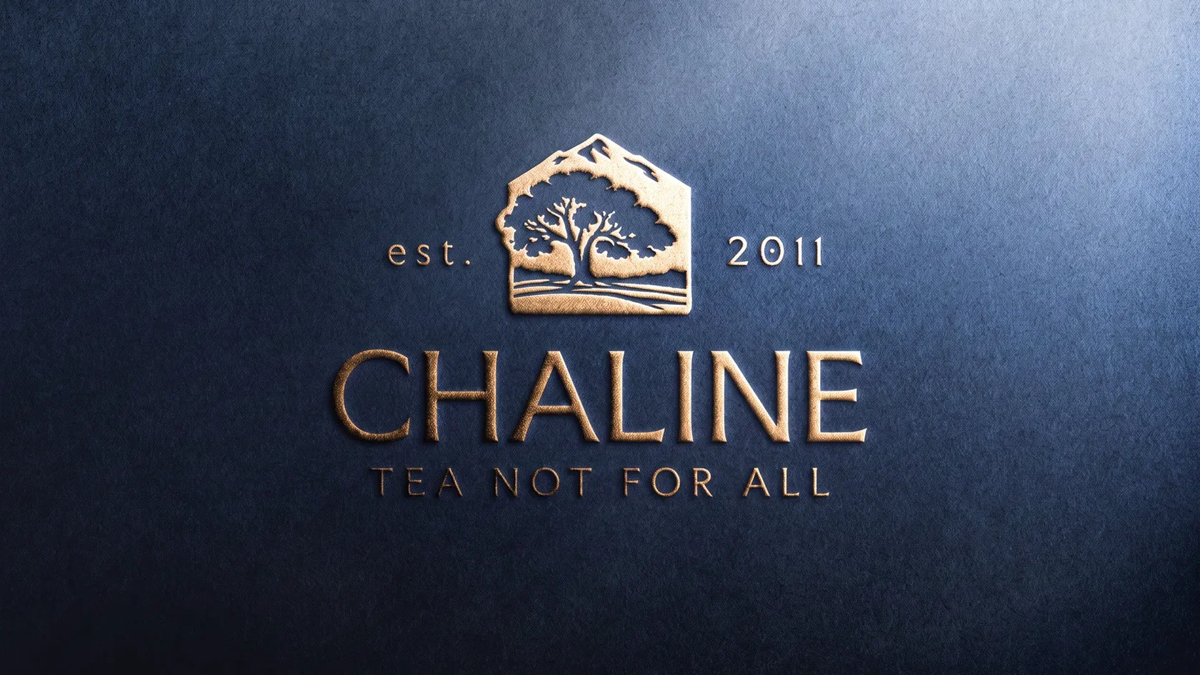 Метафора дома в логотипе Chaline