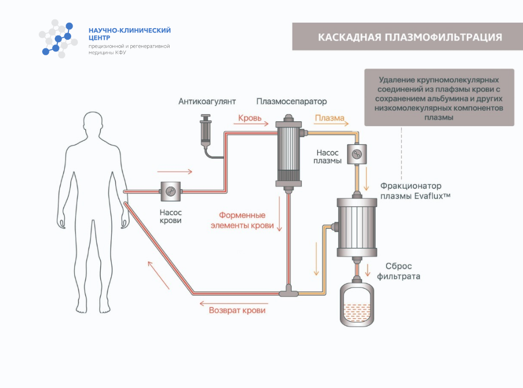 Детоксикация компас трезвости