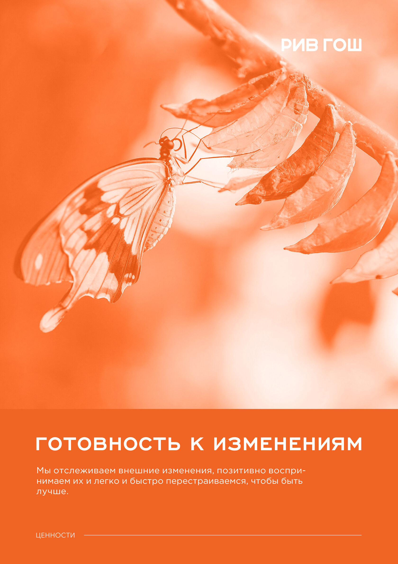 РИВ ГОШ – материал проекта