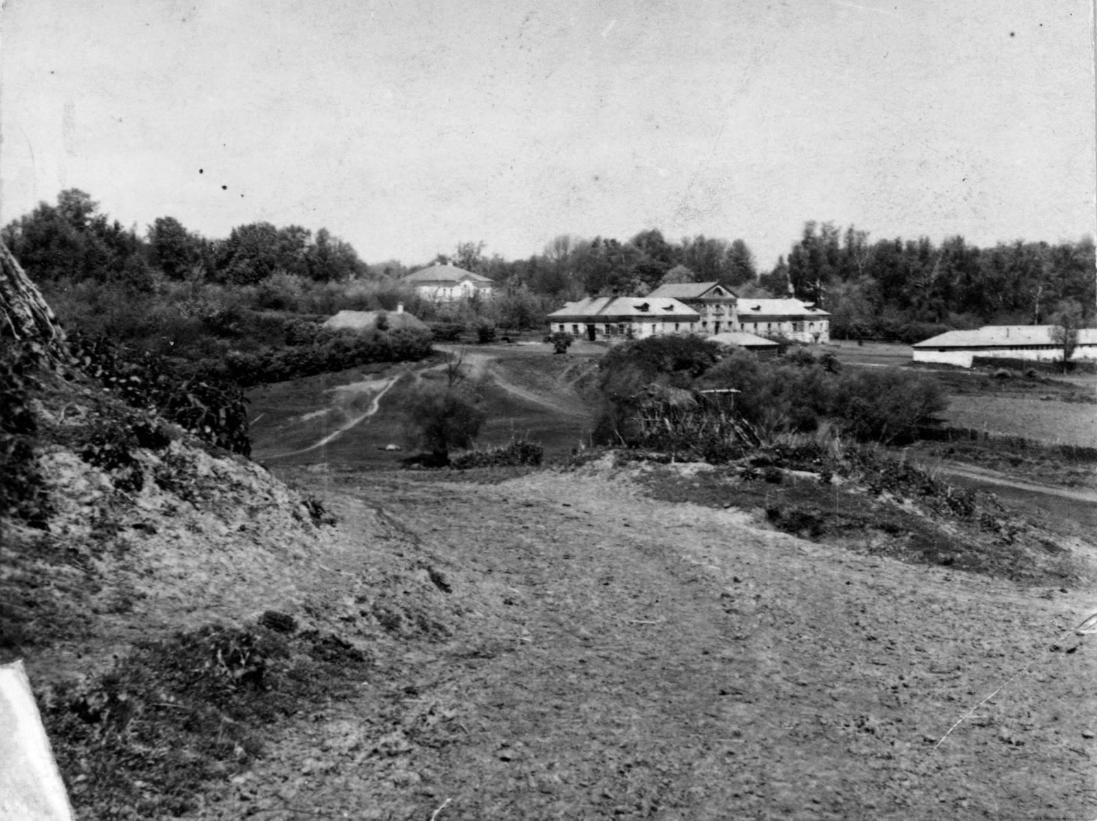 Чёрно-белый вид на дома усадьбы за дорогой и кустами, старая фотография