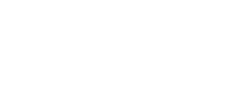 Salini
