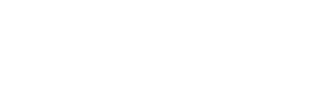 Логотип цвет 5
