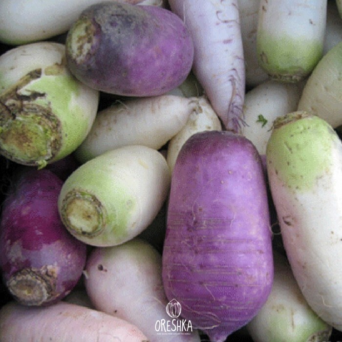 Seeds of Turnip Osterzundomsky (Brassica rapa subsp. Rapifera) — 50 pcs
