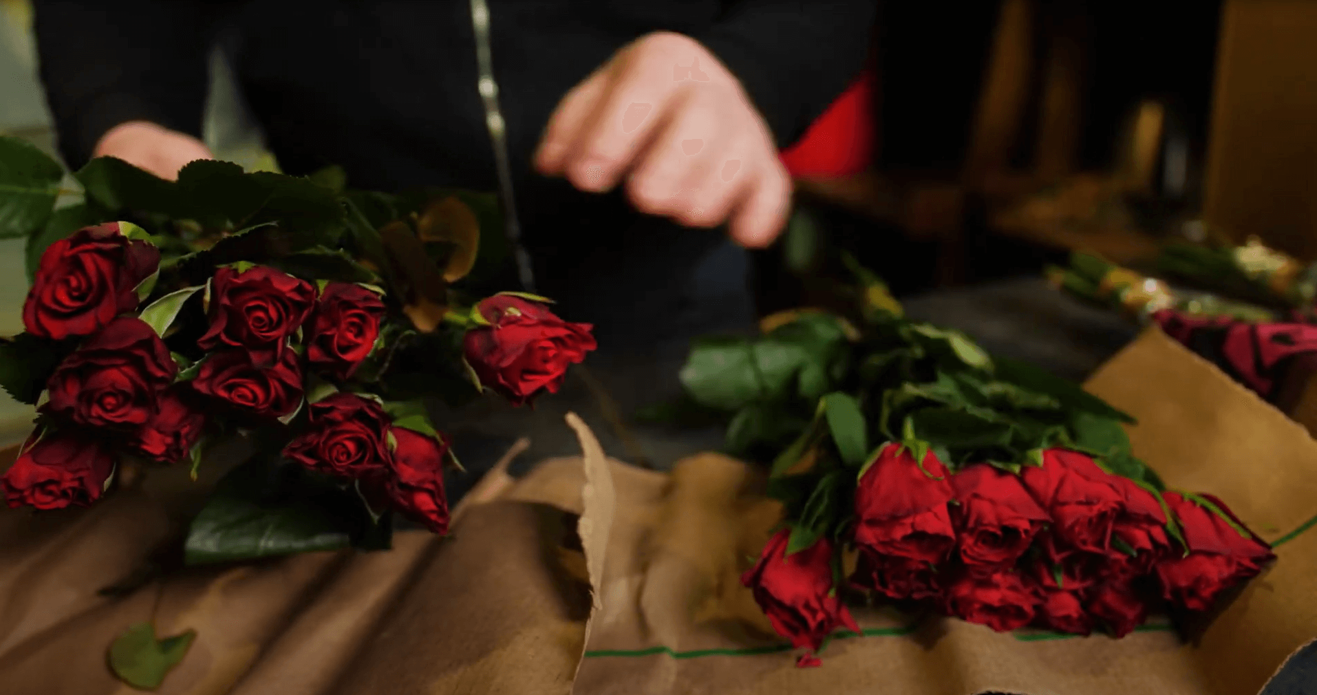 Как заказать кенийские розы сорта Red Ribbon и Madam Red с доставкой в Россию