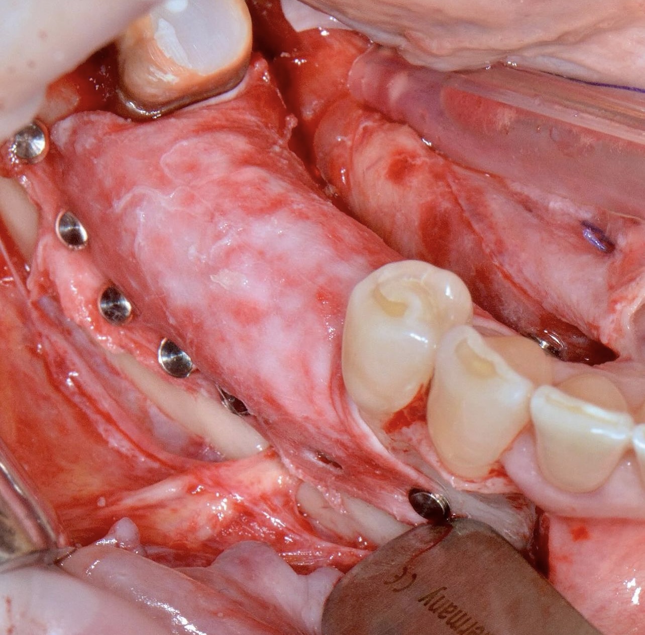 Фото с конференции 