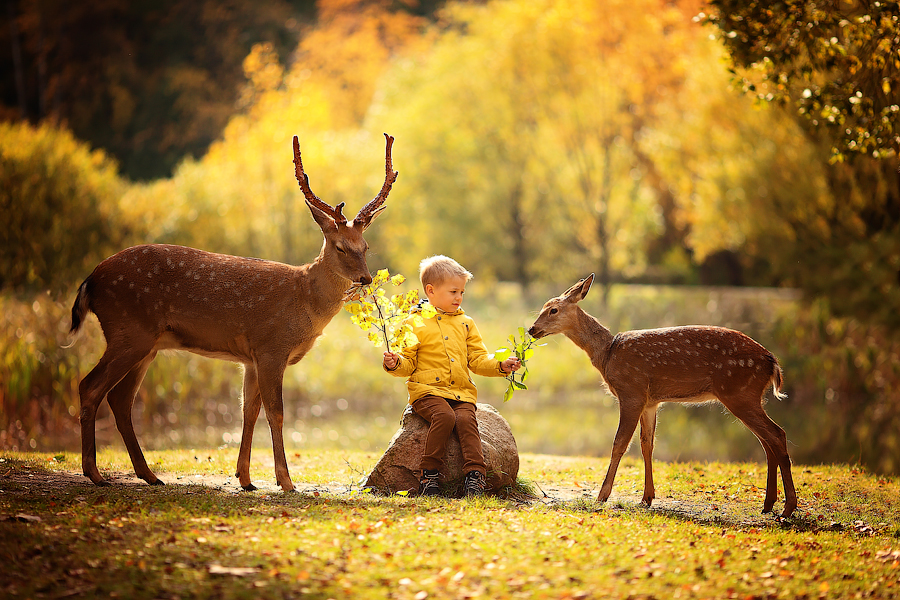 Александрамен жыныстық қатынас