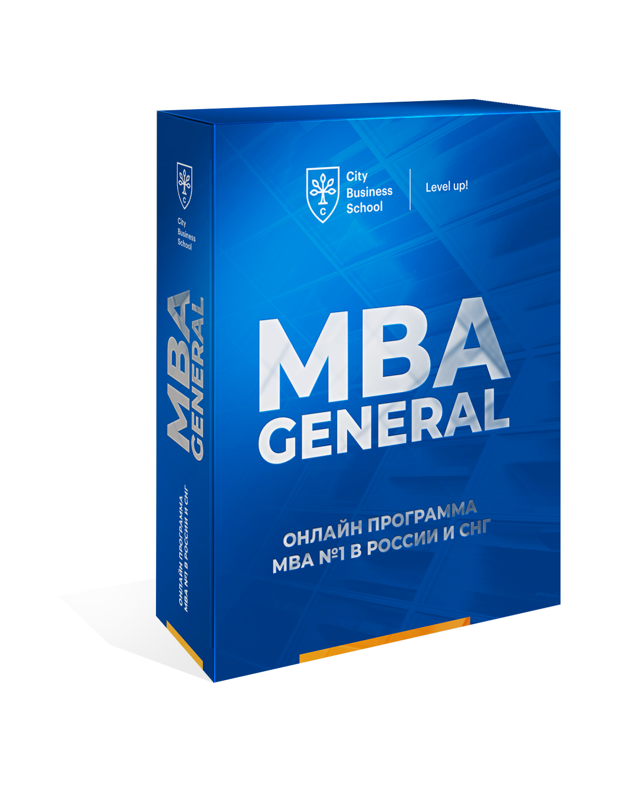 Мва. МВА Дженерал. MBA. MBA школа бизнеса. Программа MBA.