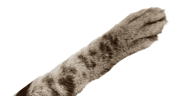 Хотите пошаговую маркетинговую инструкцию с просчётом бюджета?