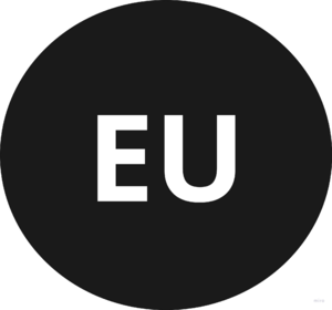 website icon