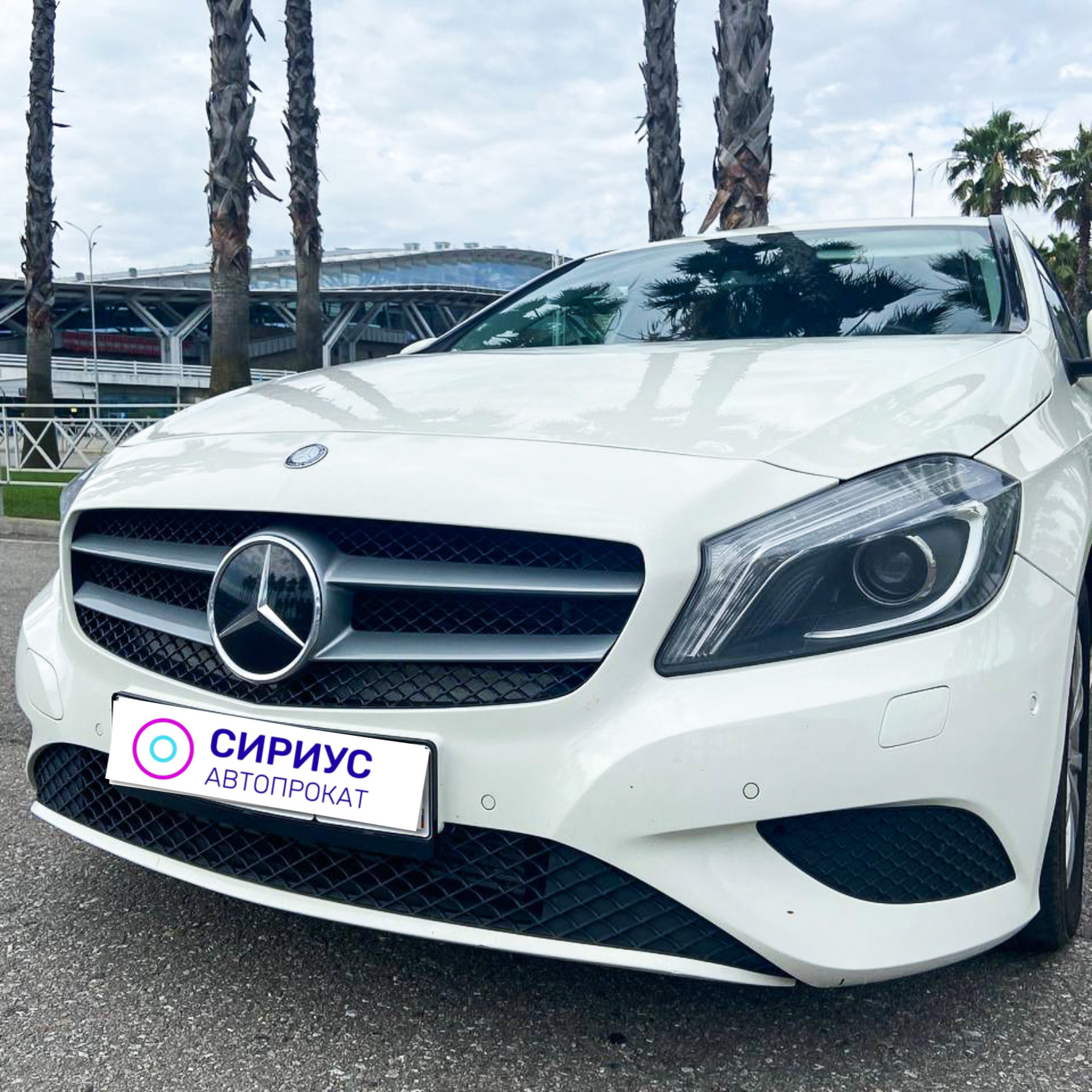 сириус прокат. сириус прокат. сириус прокат. кв. сириус прокат.