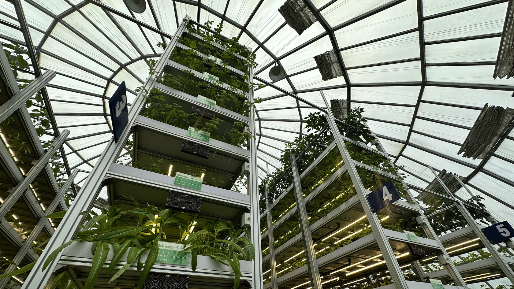 Кандонский тепличный комбинат. КНДР (Северная Корея)